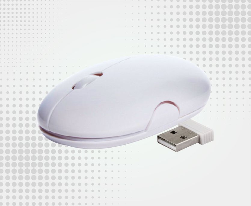 Mouse