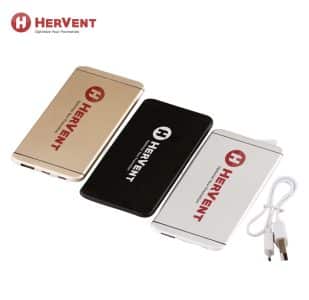 souvenir power bank
